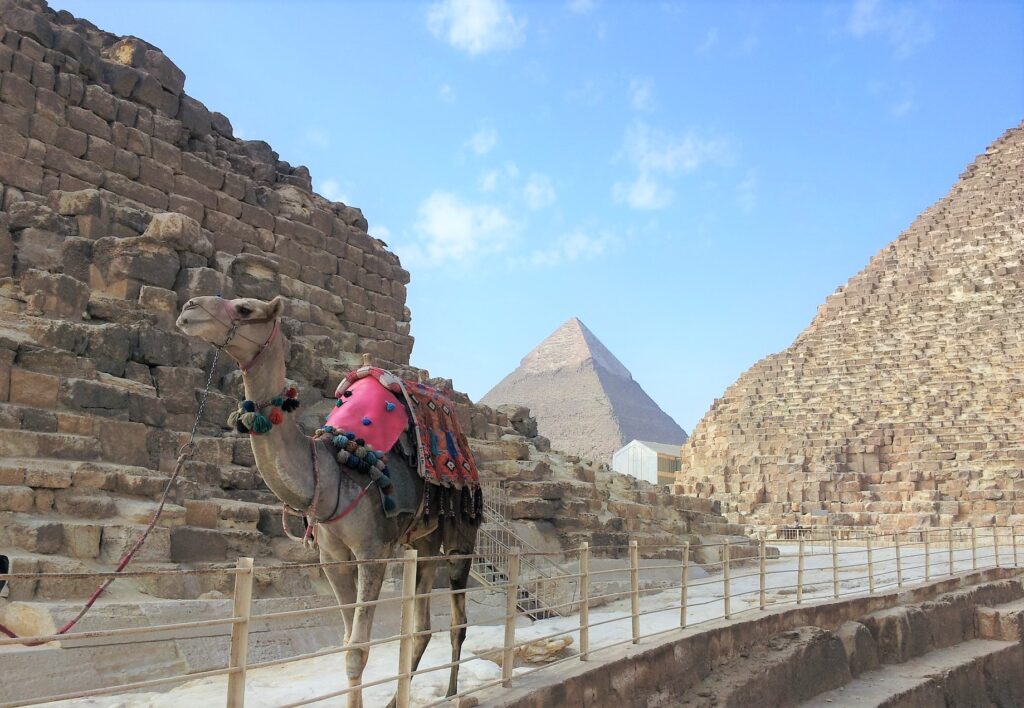 from Arabella Azur Resort to Cairo