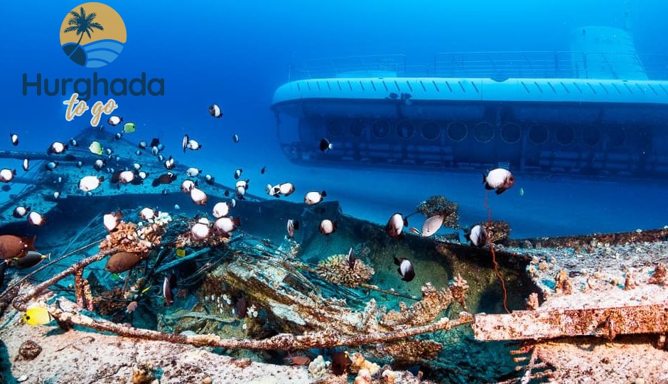 Things to Do near Pickalbatros Blu Spa Resort 2026 Submarine Tour