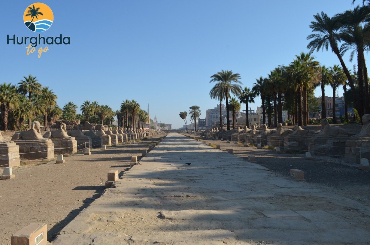 3-Night Luxor West Bank Temples & Hot Air Balloon Ride 2026 Avenue of Sphinxes to Luxor Temple