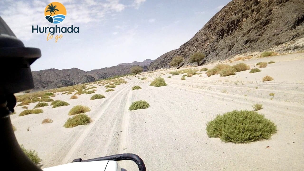 2-Day Desert Safari & Star-Gazing from Luxor