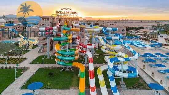 Things to Do near Pickalbatros Blu Spa Resort 2026 Things to Do near Pickalbatros Blu Spa