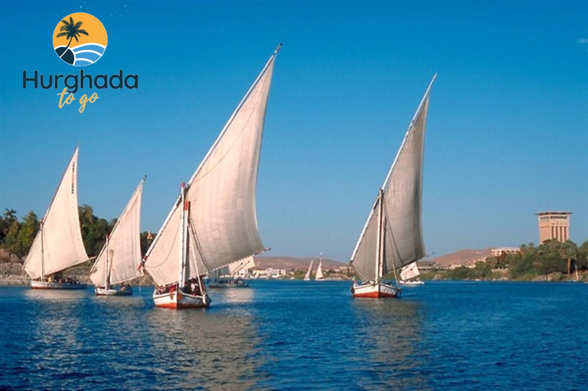 Luxor Day Tour from Marsa Alam – Valley of the Kings & Karnak 2026