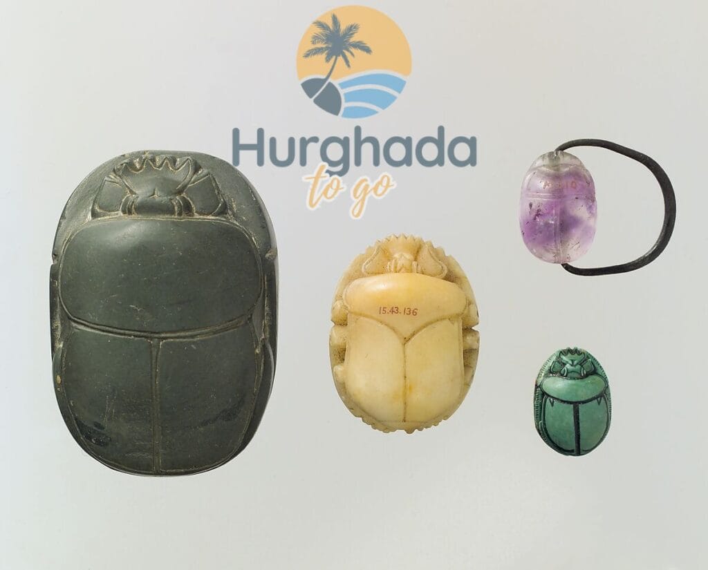 scarab shape