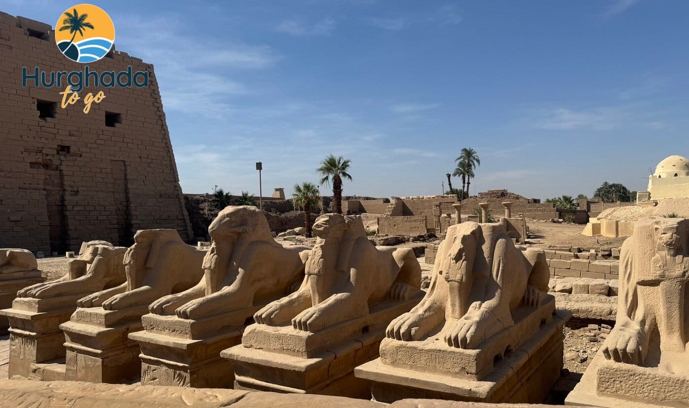 Luxor Day Trip by Bus from Safaga 2026