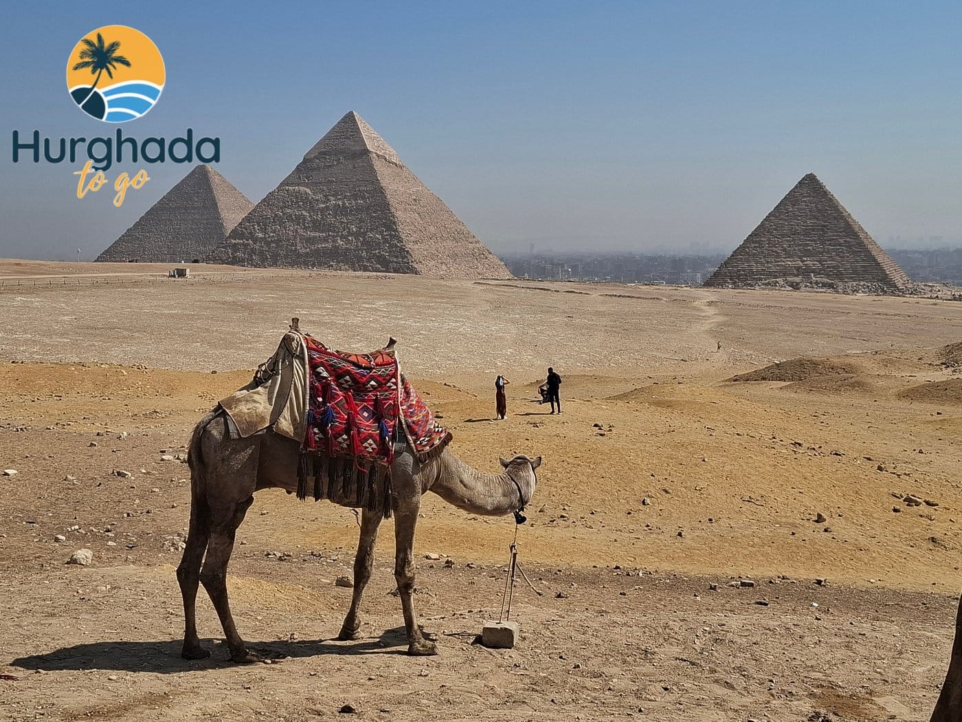 Cairo Day Trip by Bus from Safaga 2026