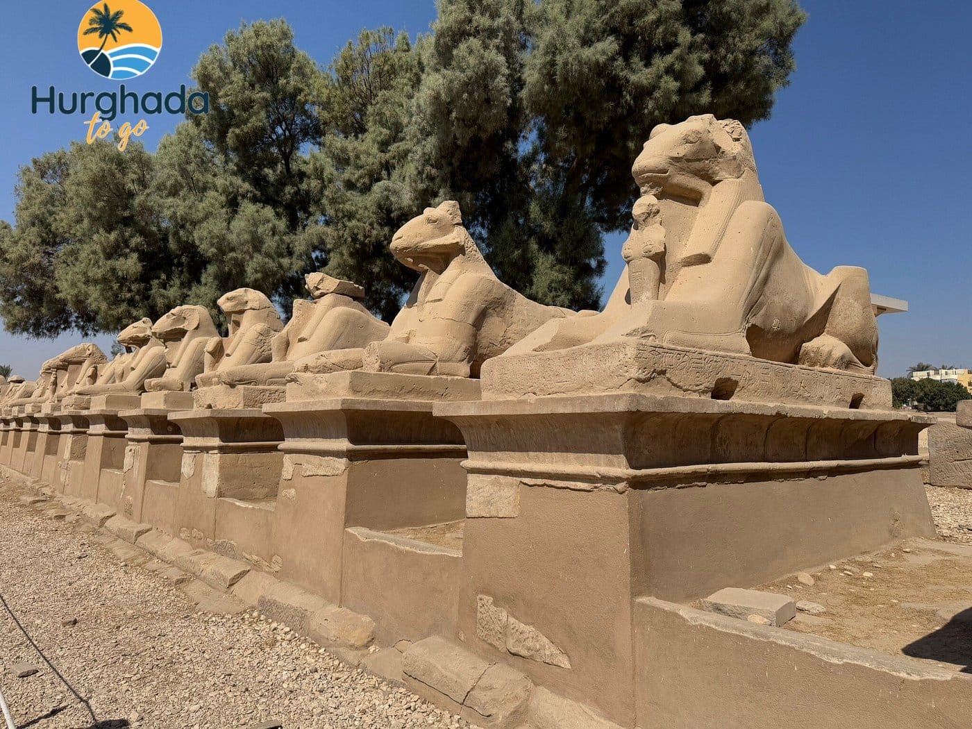 Luxor Day Trip by Bus from Safaga 2026