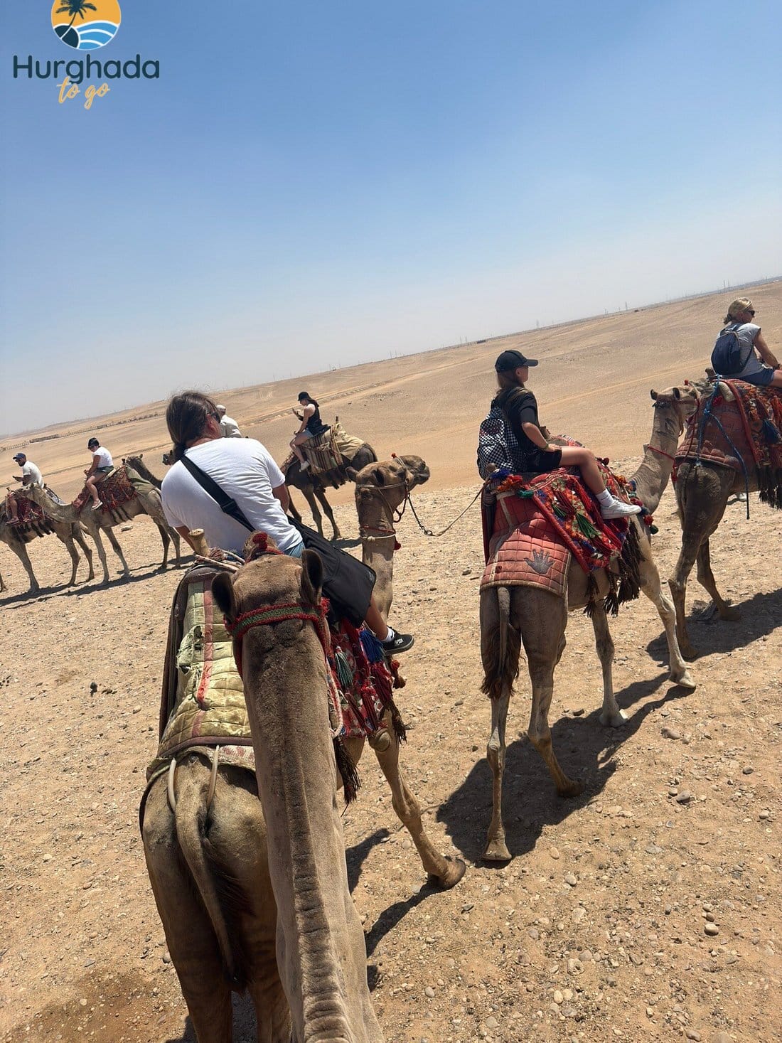 Cairo Day Trip by Bus from Soma Bay 2026