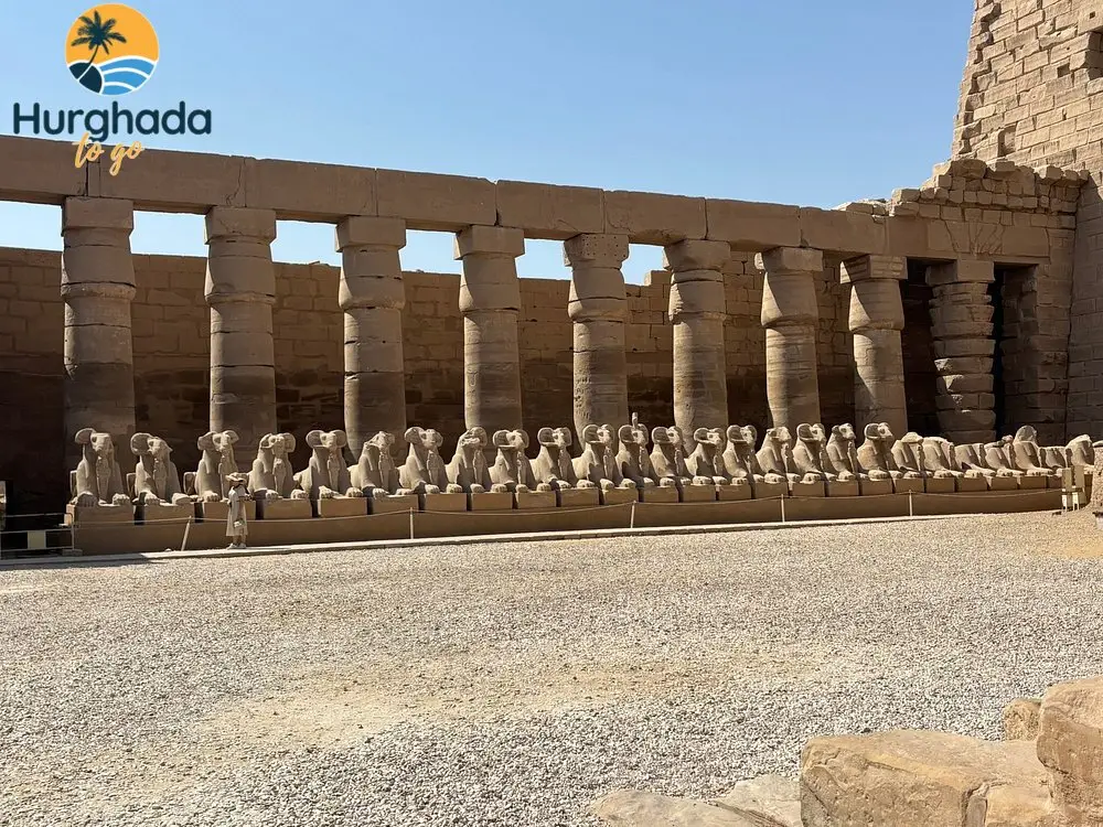 Luxor Day Trip by Bus from El Gouna 2026