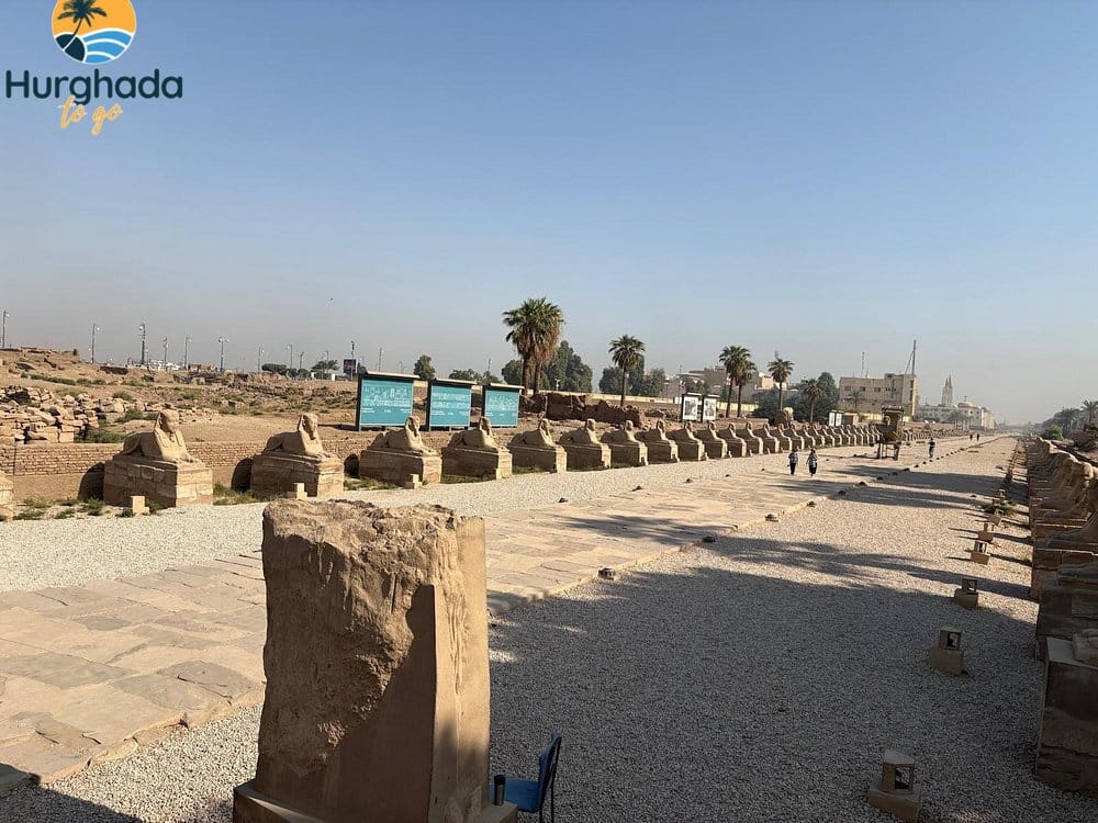 Private Day Trip to Luxor from El Gouna 2026