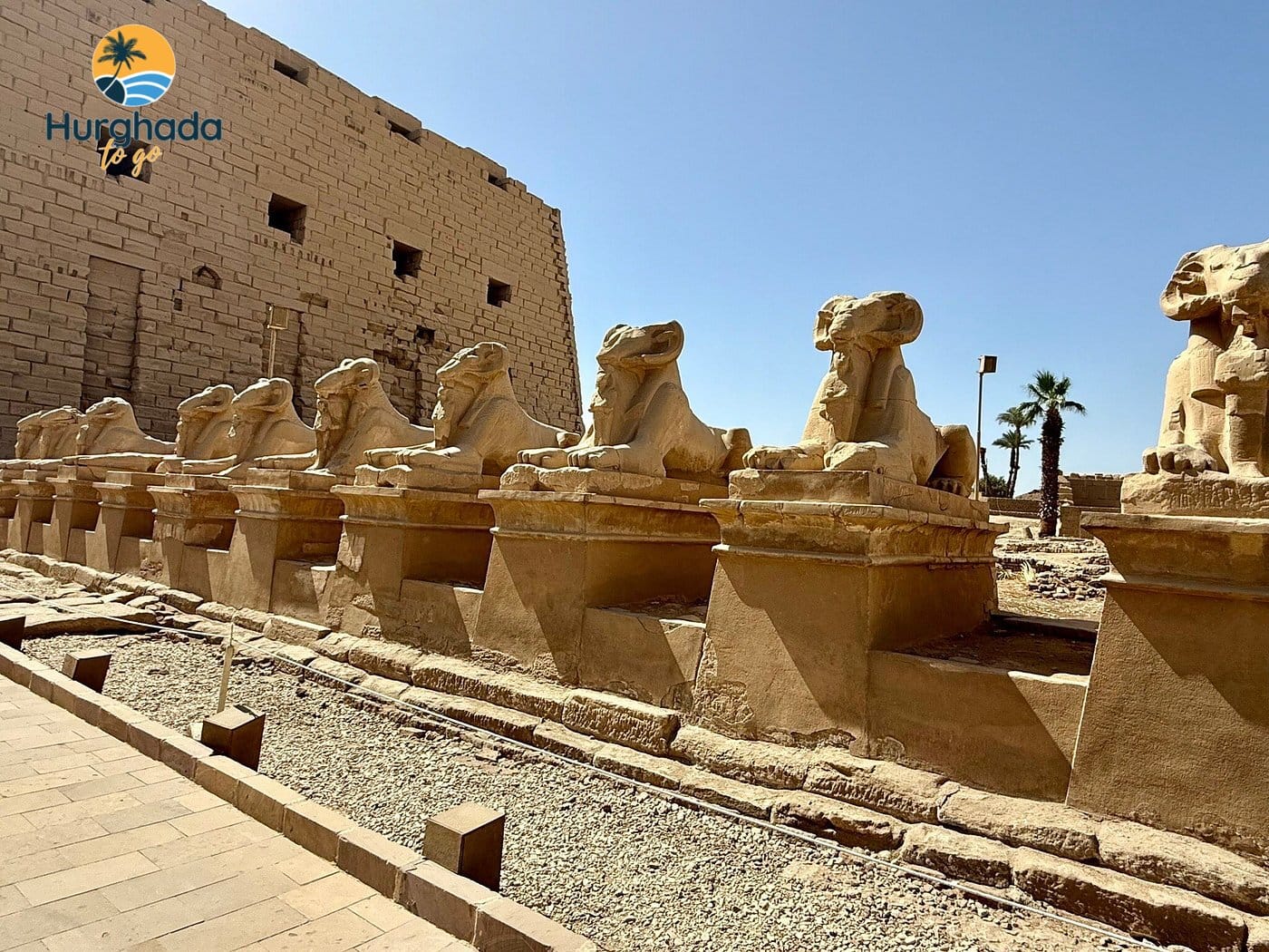 Private Day Trip to Luxor from Soma Bay 2026