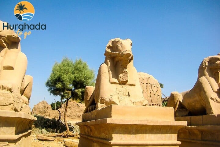Luxor Day Trip by Bus from Soma Bay 2026