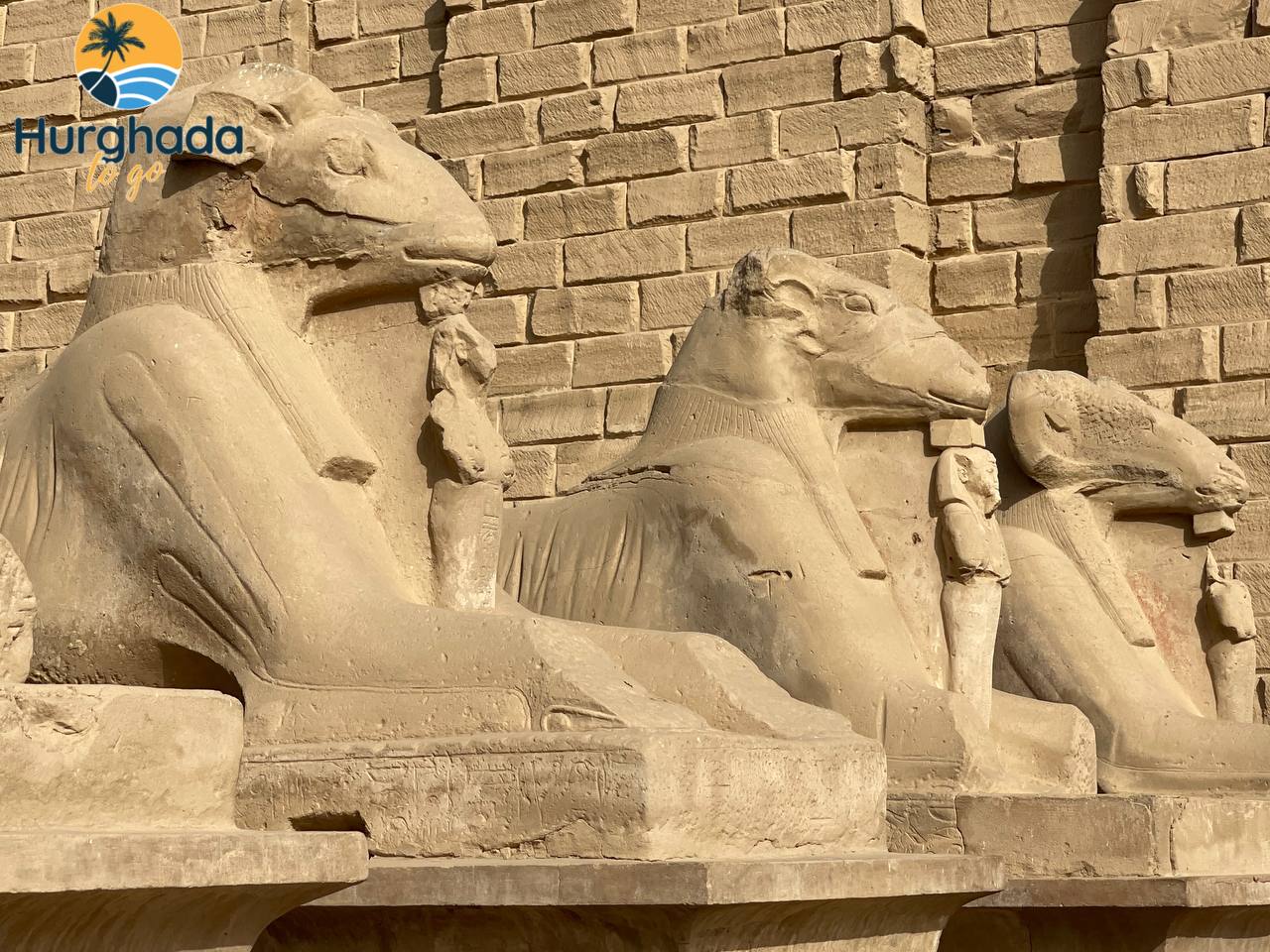 Luxor Day Trip by Bus from El Gouna 2026