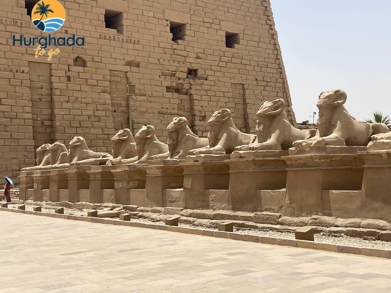 Luxor Day Trip by Bus from Safaga 2026