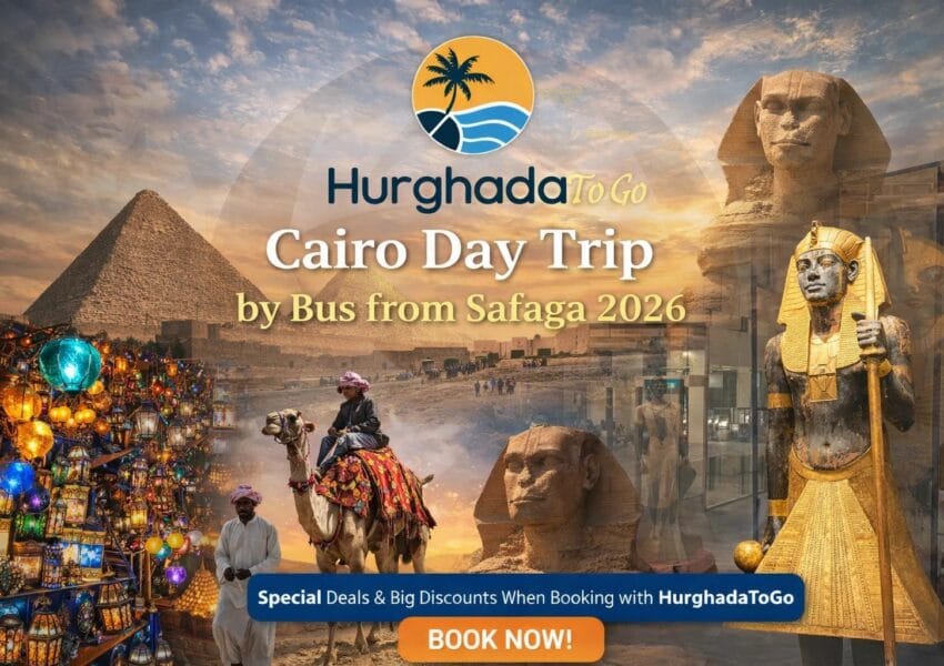 Cairo Day Trip by Bus from Safaga 2026
