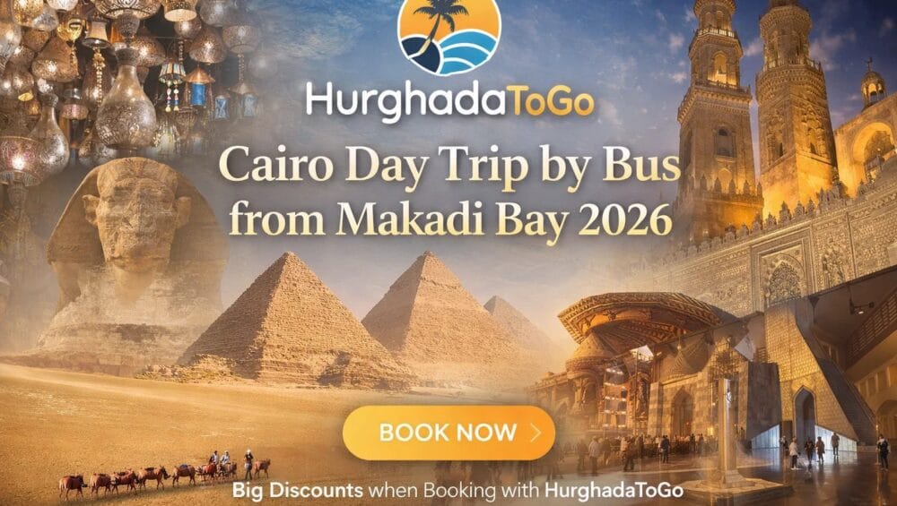 Cairo Day Trip by Bus from Makadi Bay 2026