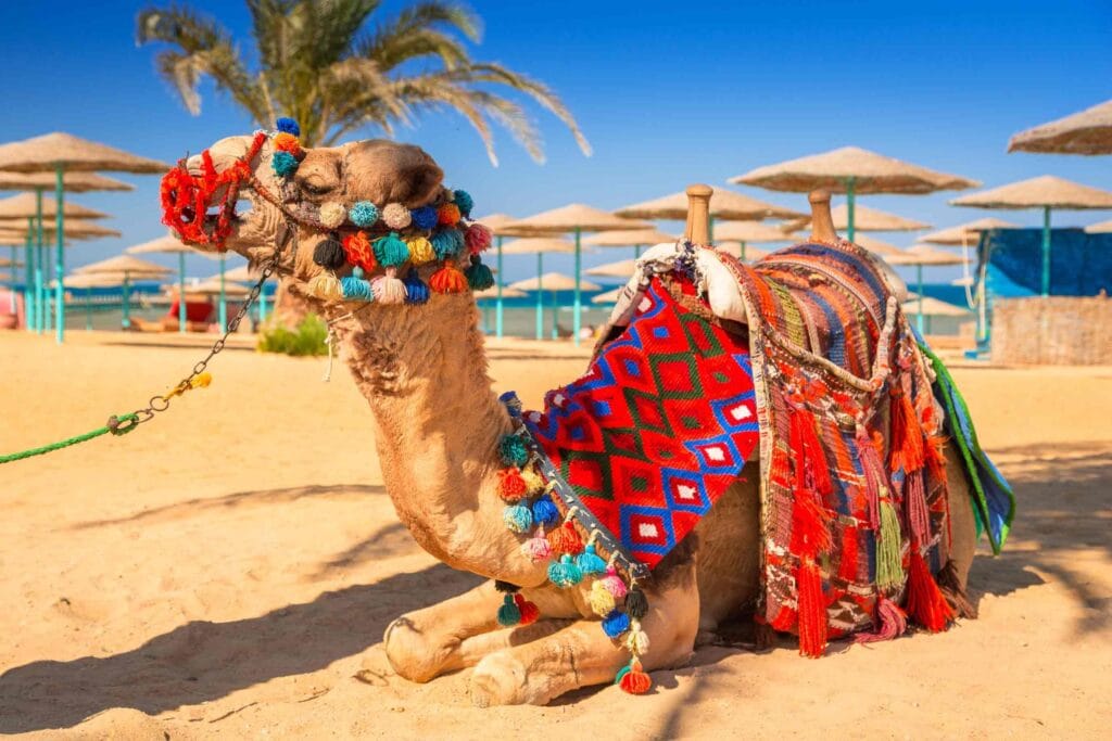 Egypt tourism trends