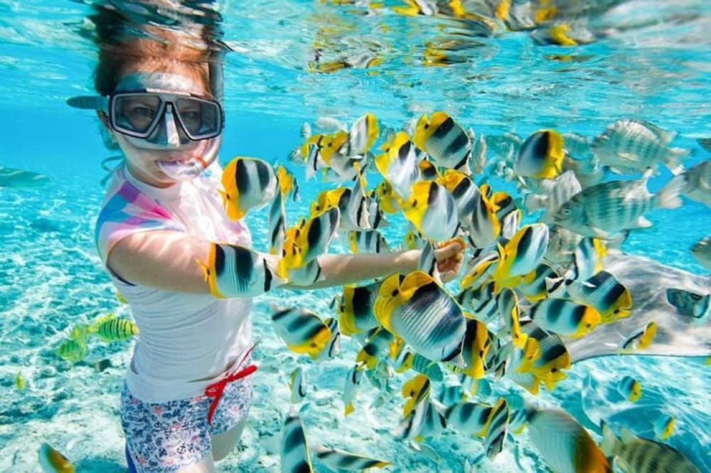 Red Sea Tourism