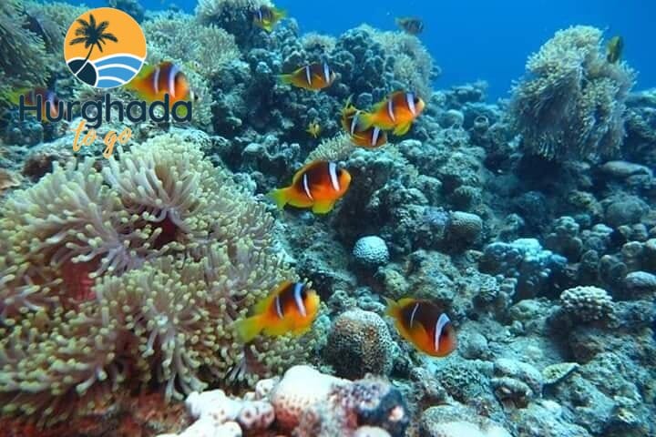 Romantic Egypt Tour Package – Nile Cruise & Pyramids