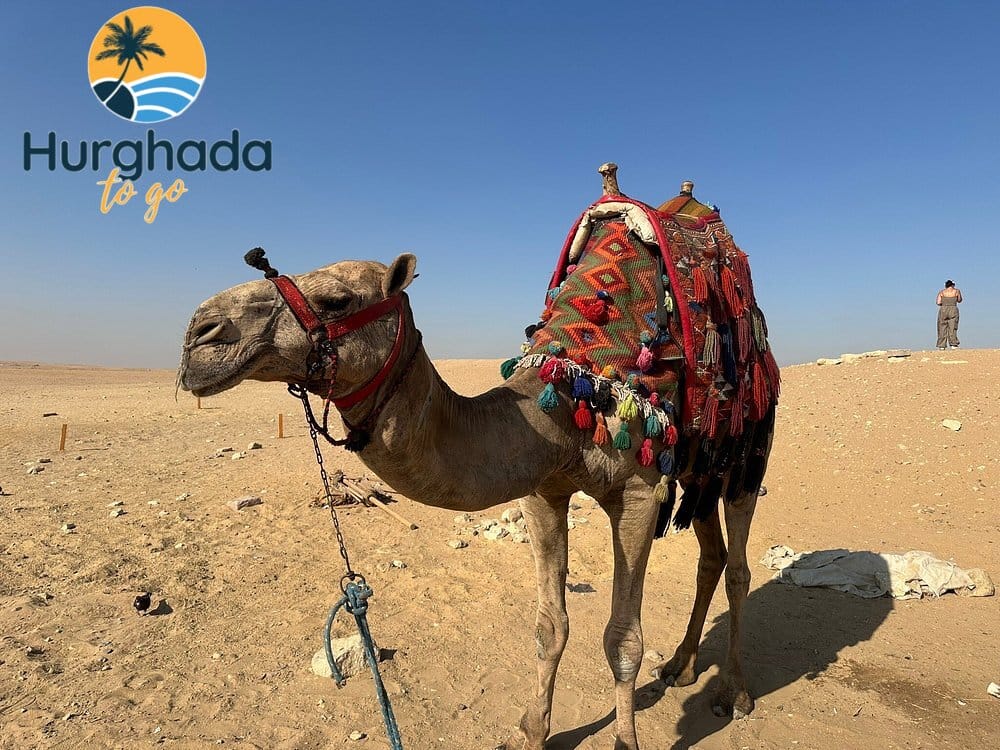 Egypt Discovery Tour – Cairo, Luxor & Aswan