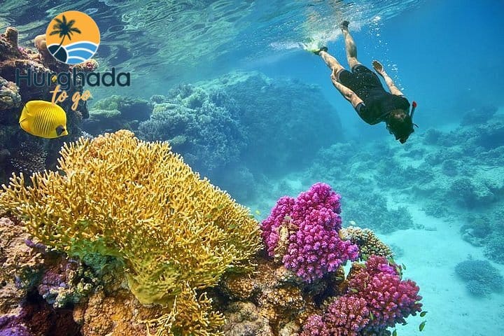 5 Days Egypt Holiday – Cairo, Luxor & Hurghada 5 Days Egypt Holiday – Cairo, Luxor & Hurghada