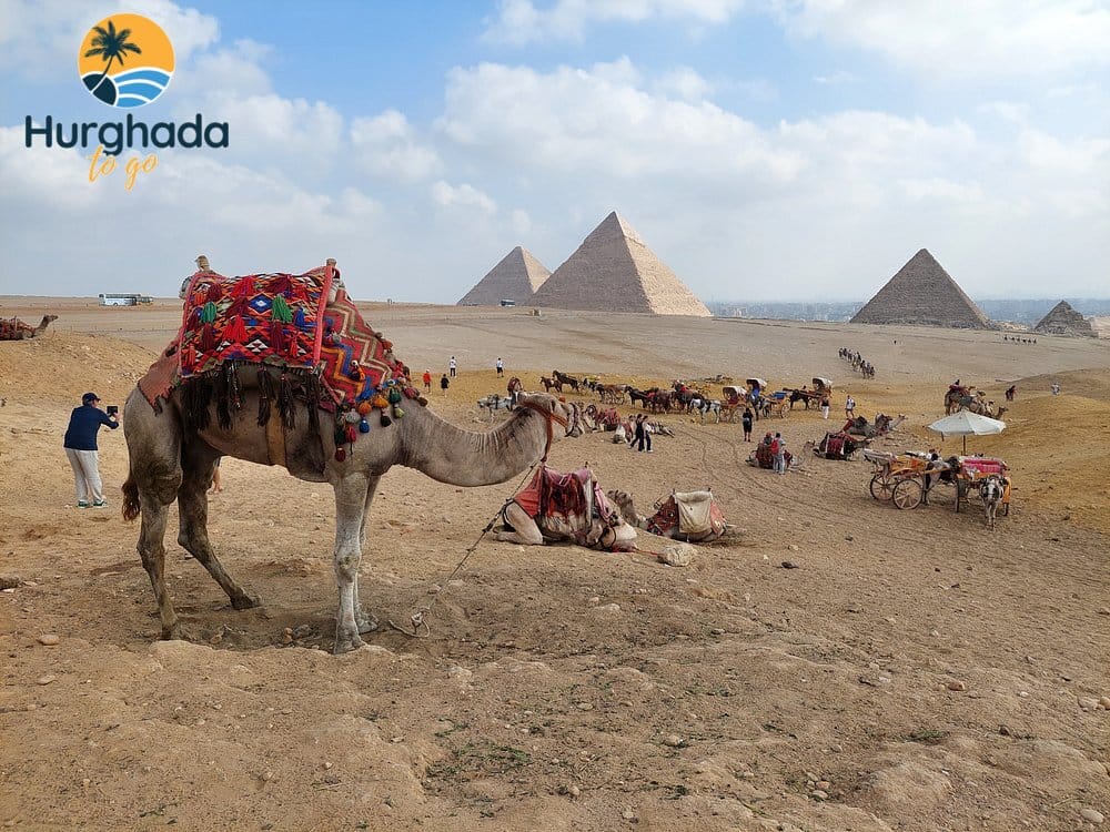 Explore Egypt Package: Pyramids, Nile & Temples