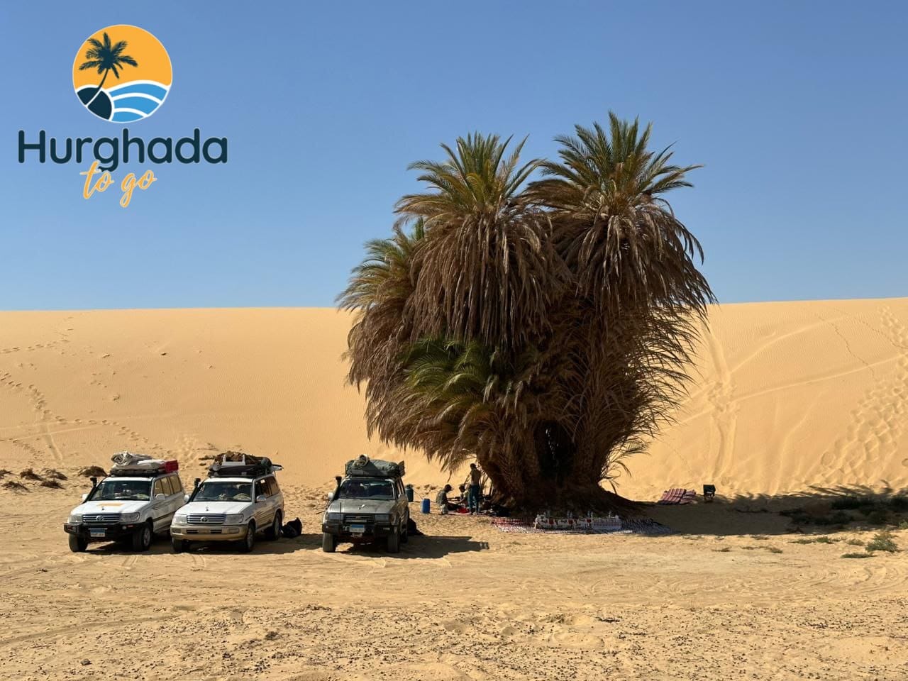 2 Nights 3 Days camping in white desert private tour