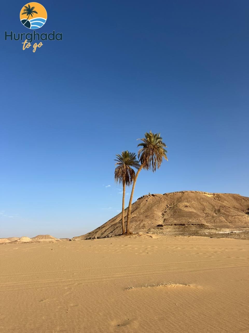 2 Nights 3 Days camping in white desert private tour