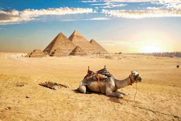 Day Tour to Cairo from Hurghada by Car