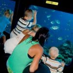 Hurghada Semi Submarine Adventure with 30 Minute Snorkeling