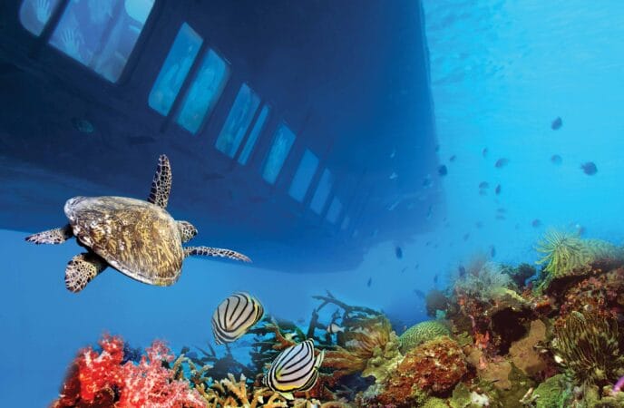 Hurghada Semi Submarine