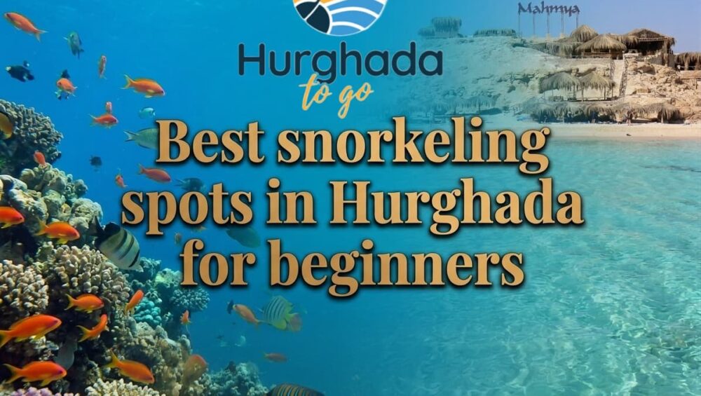 Best snorkeling spots in Hurghada for beginners