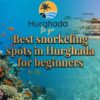 Best snorkeling spots in Hurghada for beginners