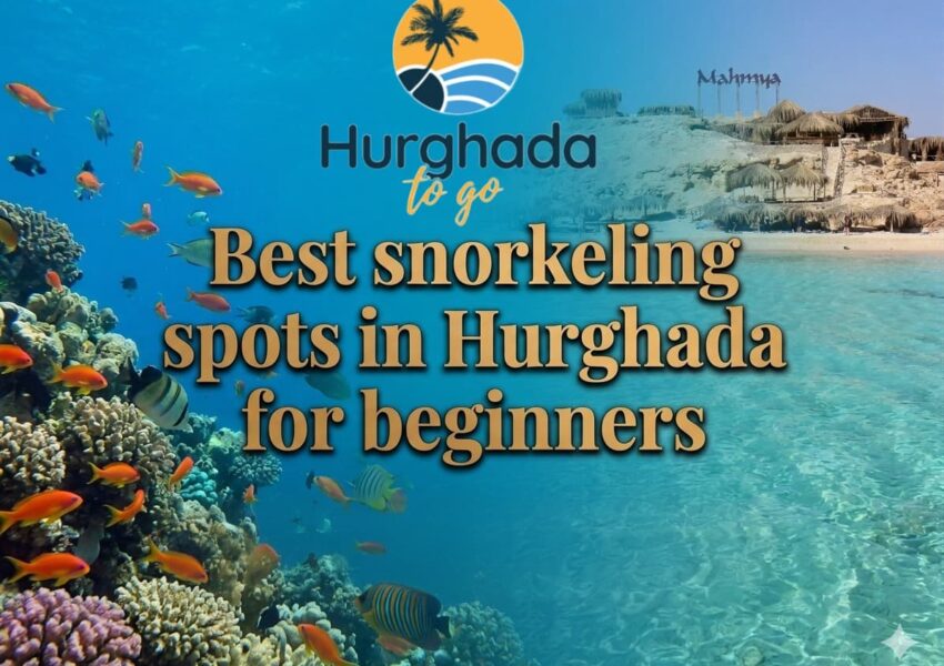 Best snorkeling spots in Hurghada for beginners