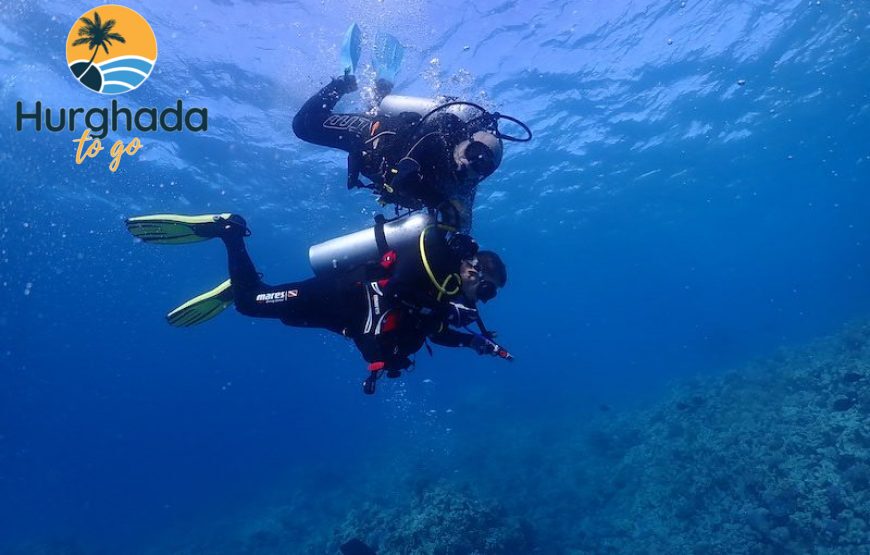 Best snorkeling spots in Hurghada for beginners