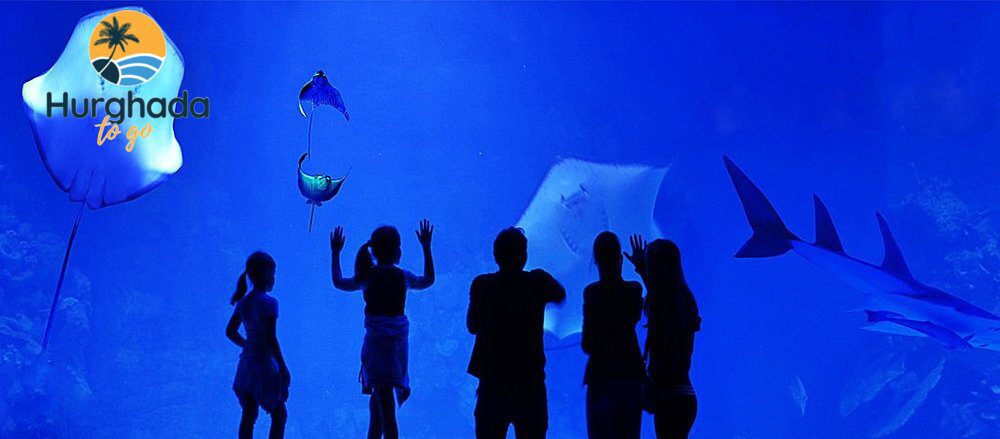 What are the best things to do in Hurghada for tourists 2026