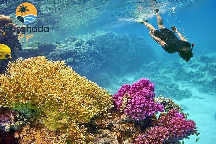 Hurghada Luxury Sailing Trip to Orange Bay with Lunch