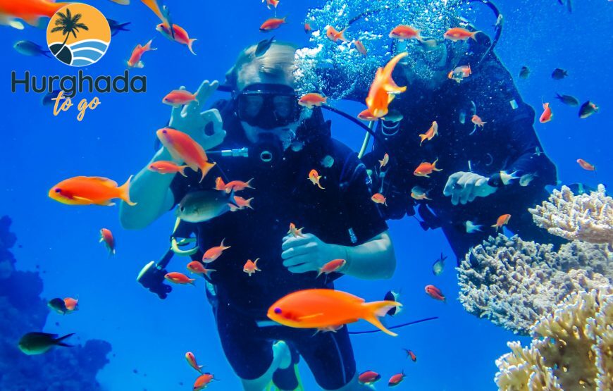 Best snorkeling spots in Hurghada for beginners