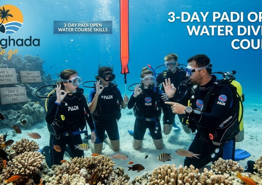 3-Day PADI Open Water Diving Course