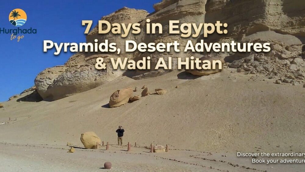 7 Days in Egypt: Pyramids, Desert Adventures & Wadi Al Hitan
