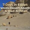 7 Days in Egypt: Pyramids, Desert Adventures & Wadi Al Hitan