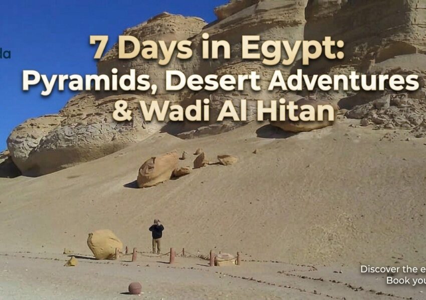 7 Days in Egypt: Pyramids, Desert Adventures & Wadi Al Hitan