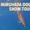 Hurghada Dolphin Show Tour