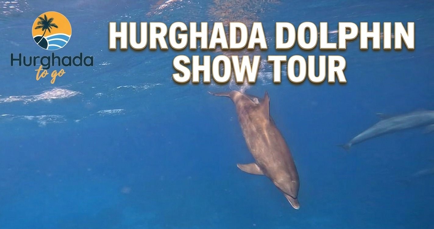 Hurghada Dolphin Show Tour