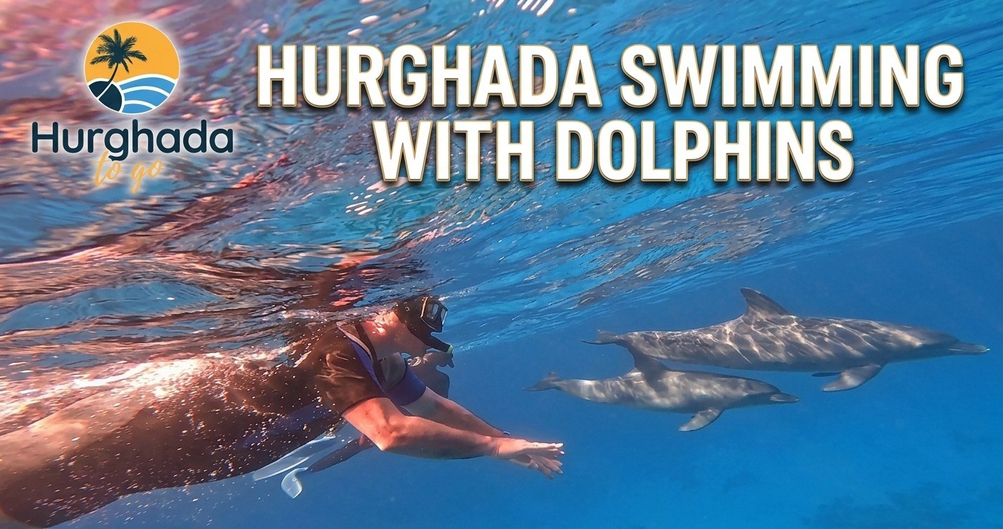 Hurghada Swimming with Dolphins