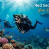 Red Sea Egypt – Your Dream Dive
