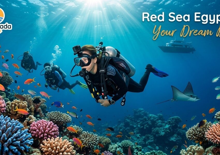 Red Sea Egypt – Your Dream Dive