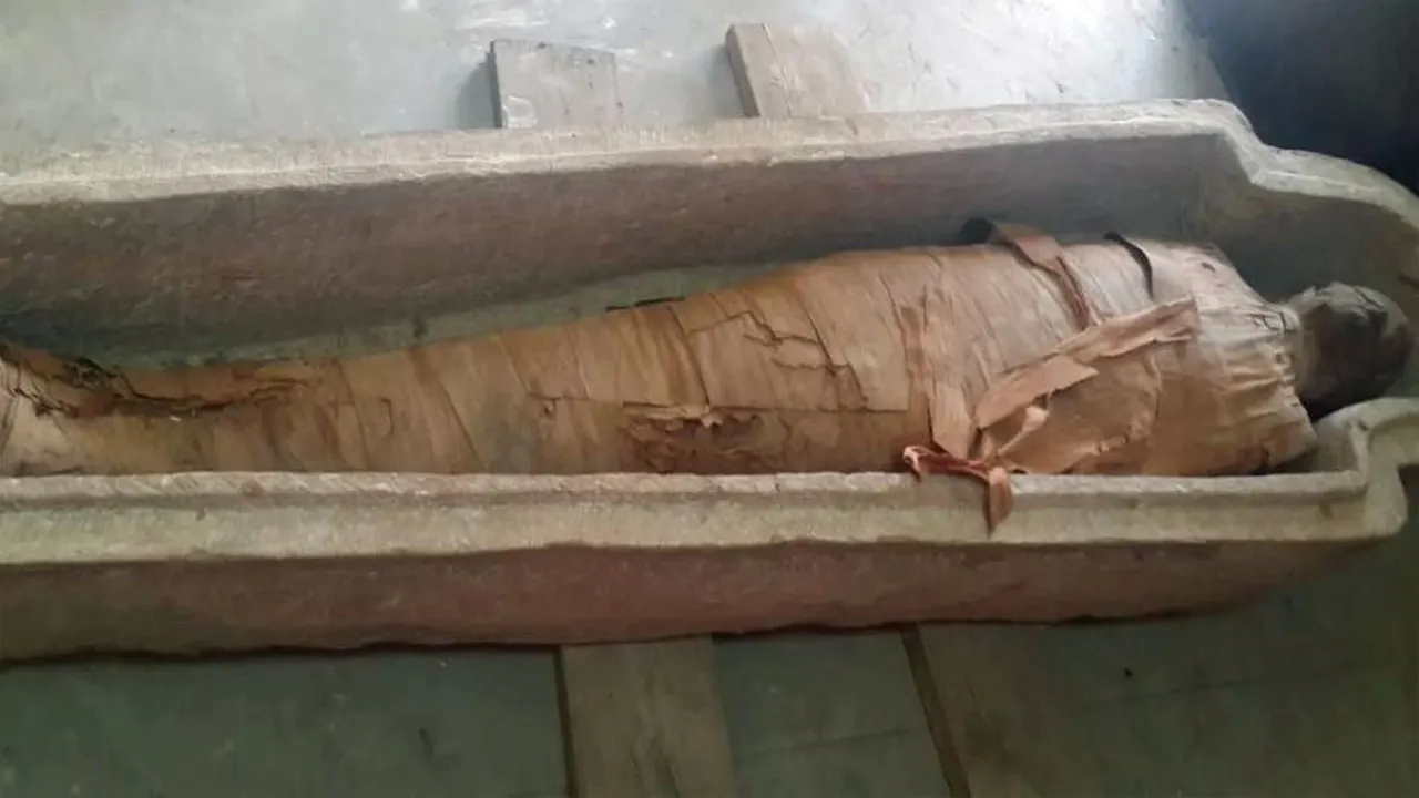The Missing Mummies Mystery