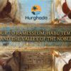 Tour to Ramesseum, Habu Temples, and the Valley of the Nobles