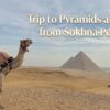 Trip to Pyramids and Cairo from Sokhna Port 2026