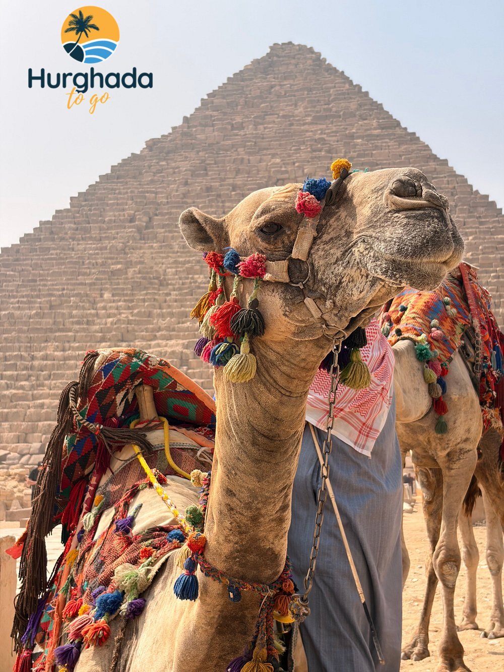 3-Day Trip to Cairo and the White Desert by Air 3-Day Trip to Cairo and the White Desert by Air